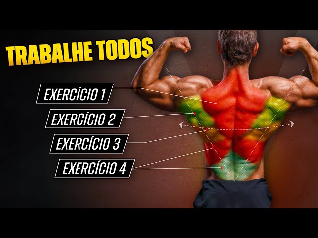 OS 3 MELHORES EXERCICIOS PARA DESENVOLVER AS&nbsp;DORSAIS!