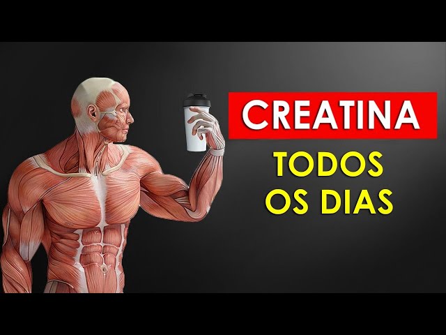 COMO A CREATINA FUNCIONA EM NOSSO&nbsp;CORPO?