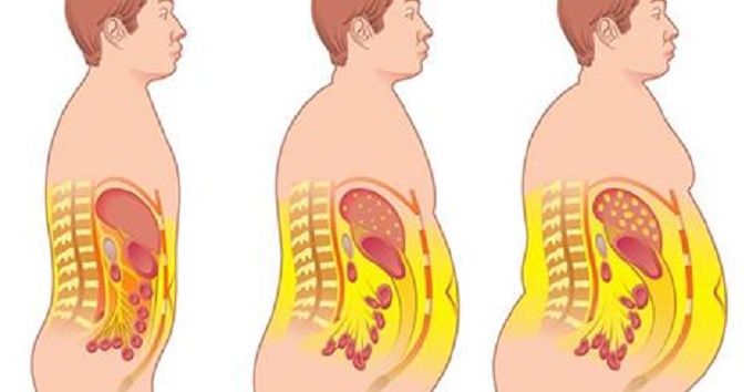 ENTENDA COMO O CORPO ” FABRICA ” A&nbsp;GORDURA